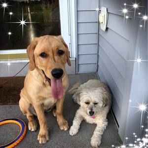 Meet your Posher, Kelly